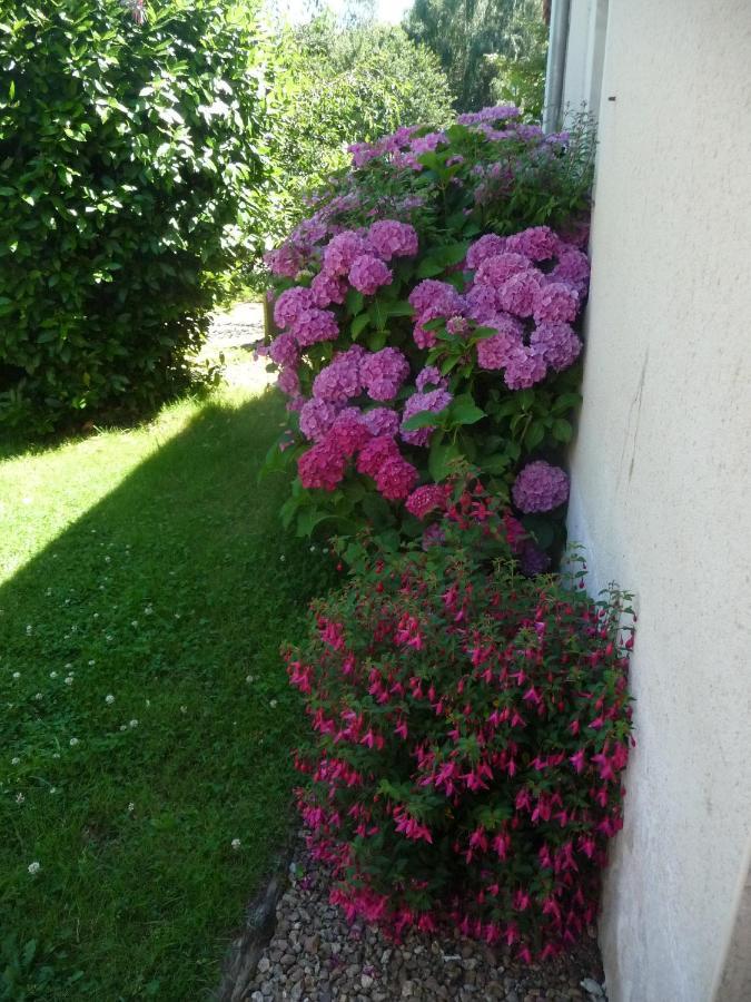 Chambre D'Hote En Vallee Du Loir - Elevage Des Rosiers Bazouges-sur-le-Loir Exterior photo